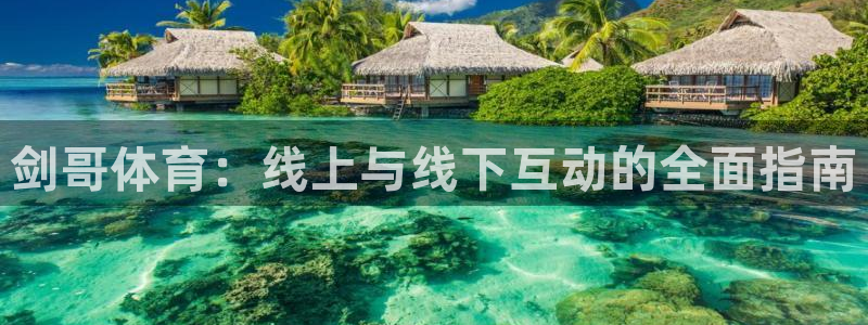 178足球免费直播网站下载安装：剑哥体育：线上与线下互动的全面指南