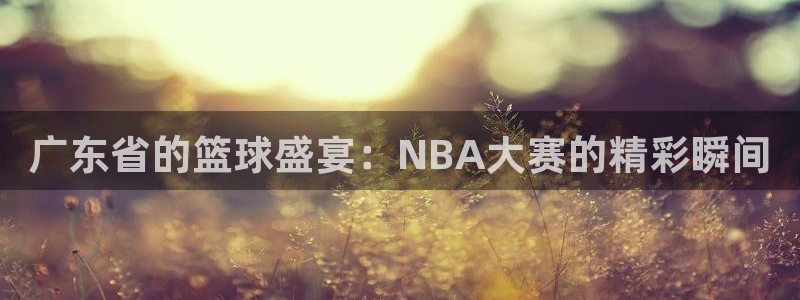 178直播nba：广东省的篮球盛宴：NBA大赛的精彩瞬间