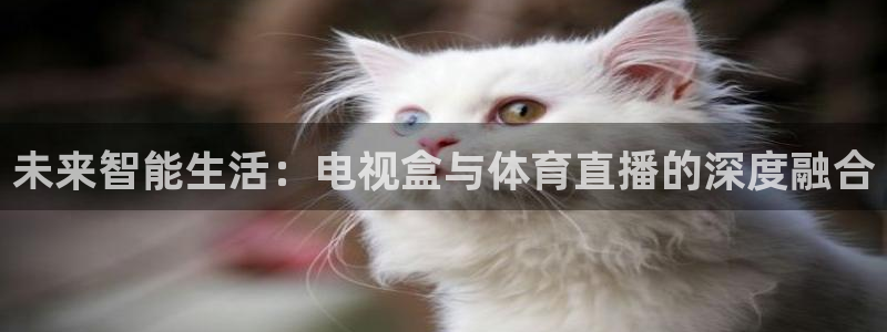 178足球体育直播