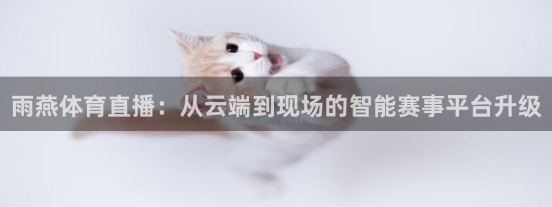 178体育篮球直播：雨燕体育直播：从云端到现场的智能赛事平台升级